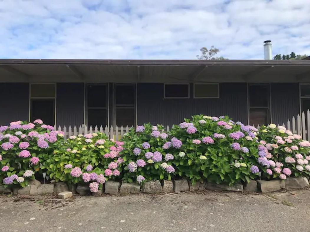 Nowa Nowa Motel - Budget Friendly Getaway In East Gippsland 外观 照片